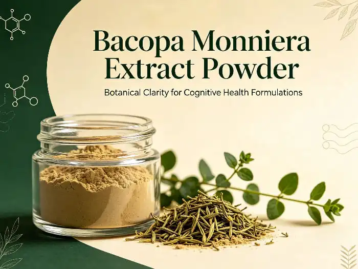 Bacopa Monniera Extract vs Bacopa Powder: Which Is Better?